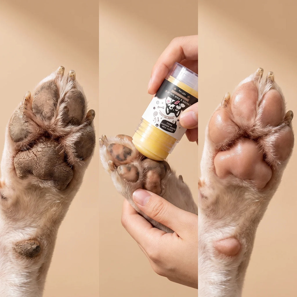 CoralPaw Paw Balm — Nose & Paw Repair Balm for Dogs